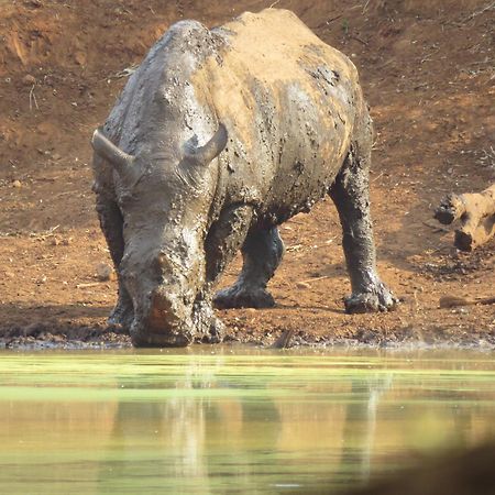 Sable Creek Safari Lodge Тзанеен Экстерьер фото