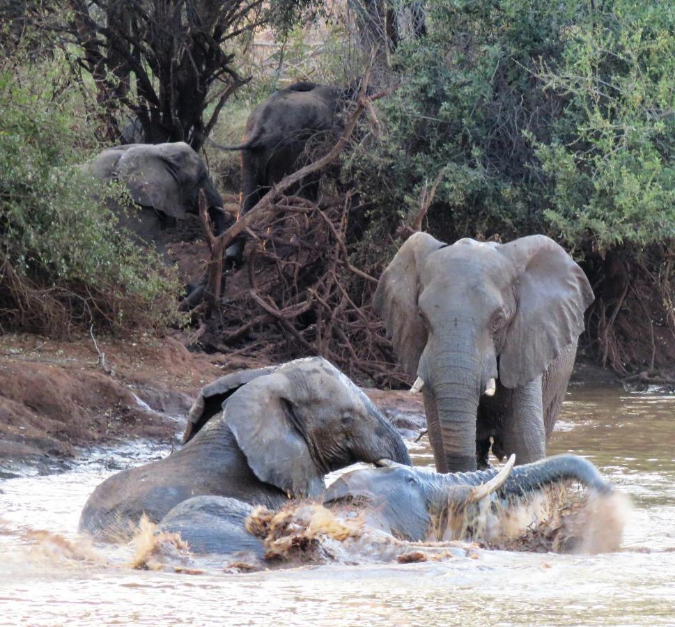 Sable Creek Safari Lodge Тзанеен Экстерьер фото