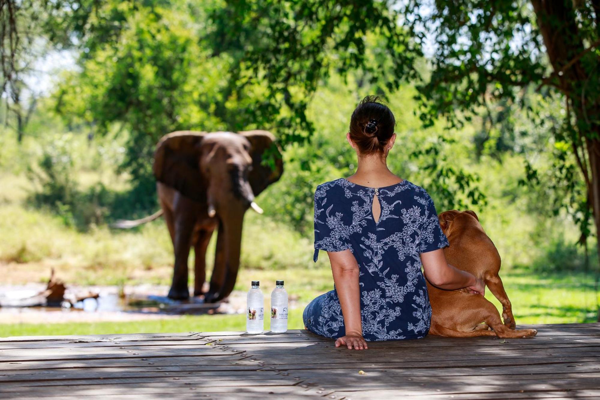 Sable Creek Safari Lodge Тзанеен Экстерьер фото