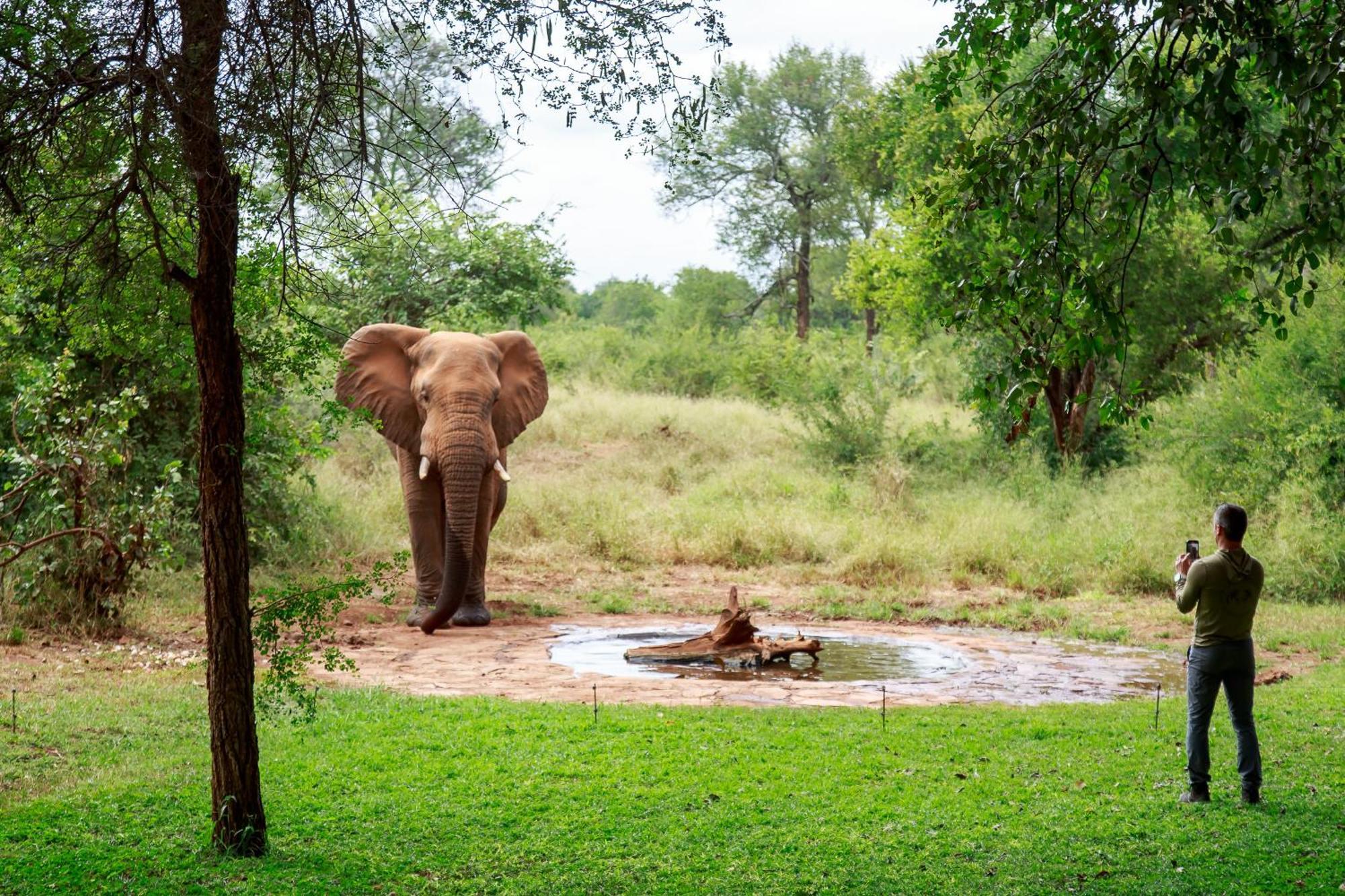 Sable Creek Safari Lodge Тзанеен Экстерьер фото
