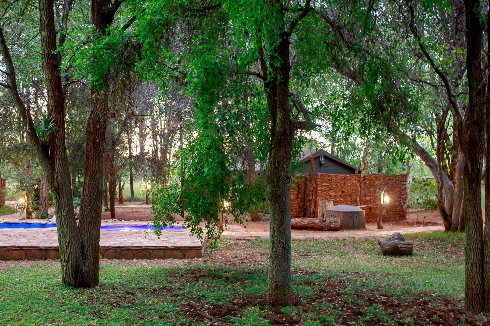 Sable Creek Safari Lodge Тзанеен Экстерьер фото